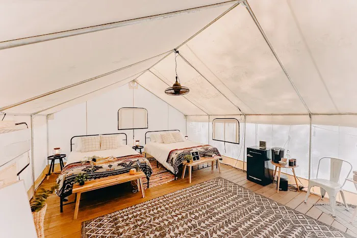 Timberline Glamping Sarasota 1