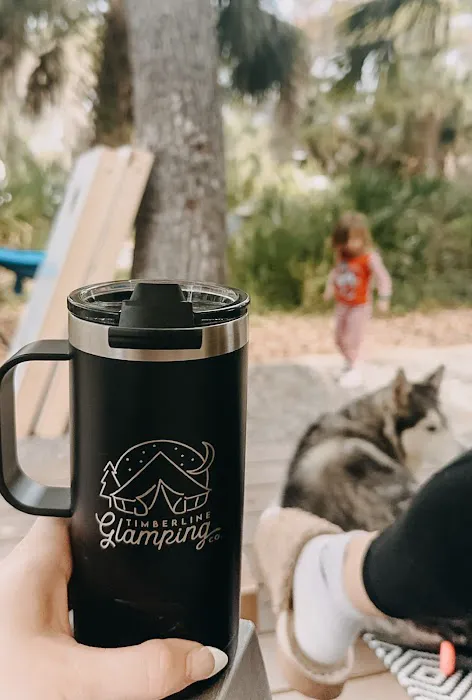 Timberline Glamping Sarasota 4