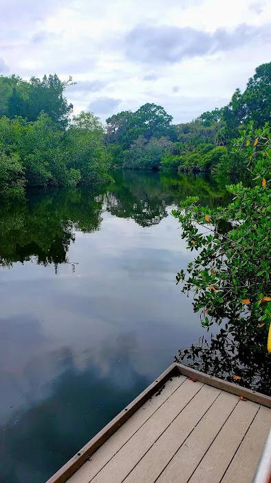 Oscar Scherer State Park Campground 2