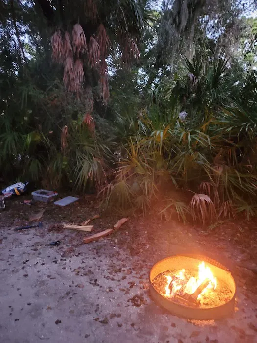 Oscar Scherer State Park Campground 7