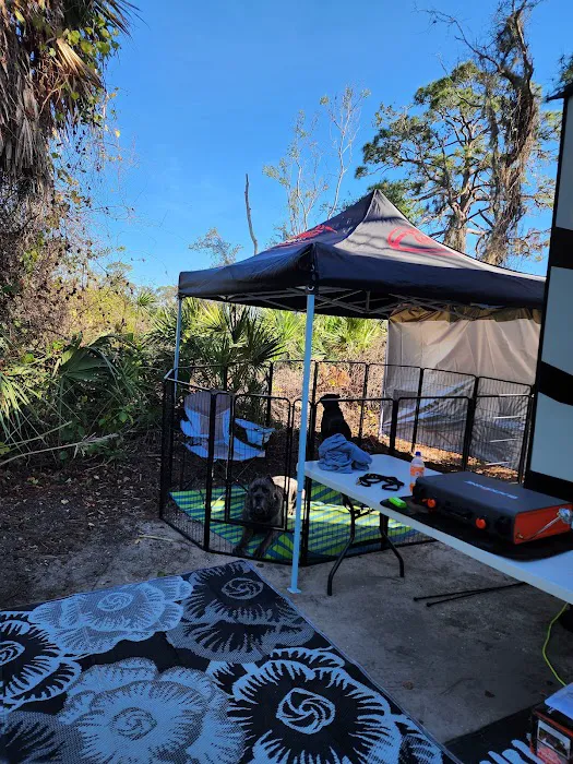Oscar Scherer State Park Campground 9