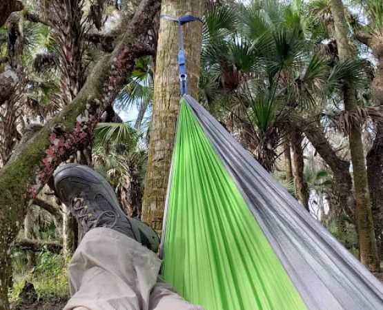 Mossy Hammock Primative Campsite