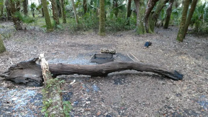Mossy Hammock Primative Campsite 2