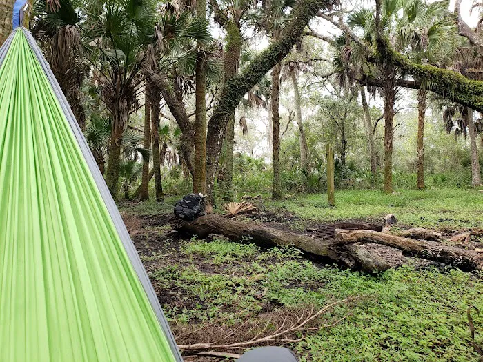 Mossy Hammock Primative Campsite 3