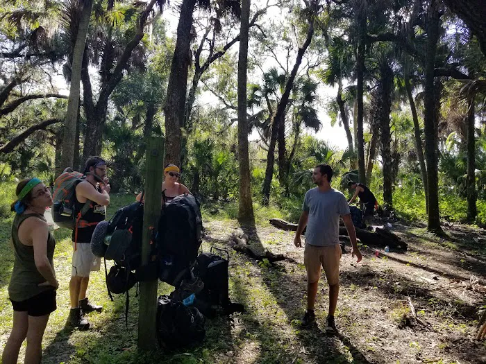 Mossy Hammock Primative Campsite 8