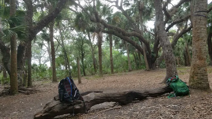 Mossy Hammock Primative Campsite 7