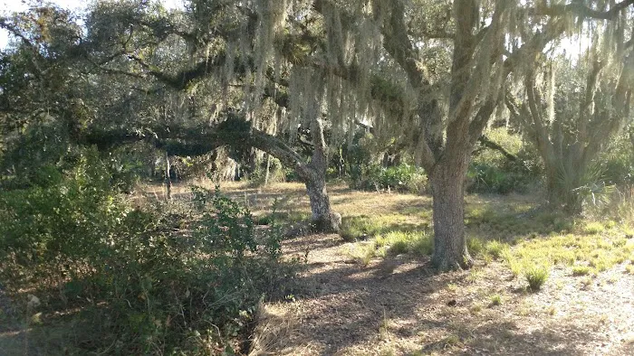 Bee Island Primitive Campsite 0