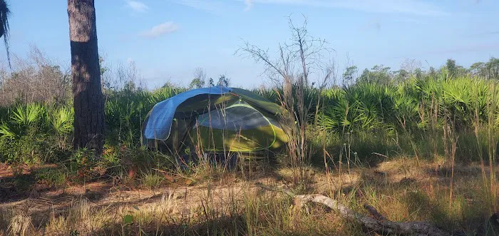 Bee Island Primitive Campsite 6
