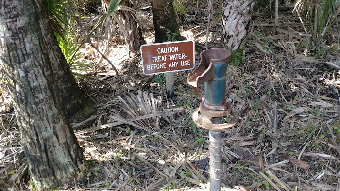 Honore Primitive Campsites 4