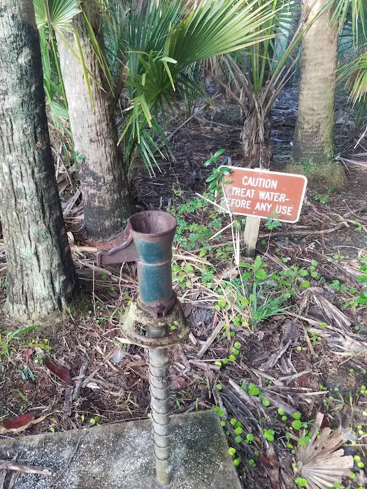 Honore Primitive Campsites 5