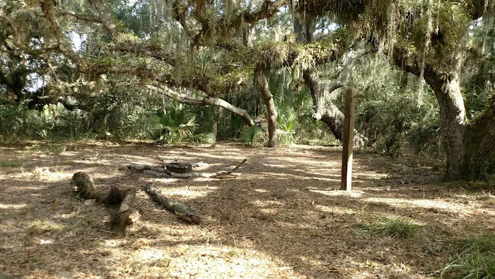 Oak Grove Primitive Campsites 2