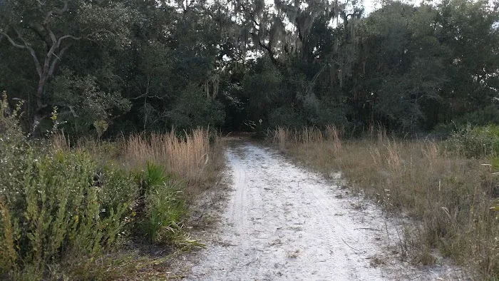 Oak Grove Primitive Campsites 1