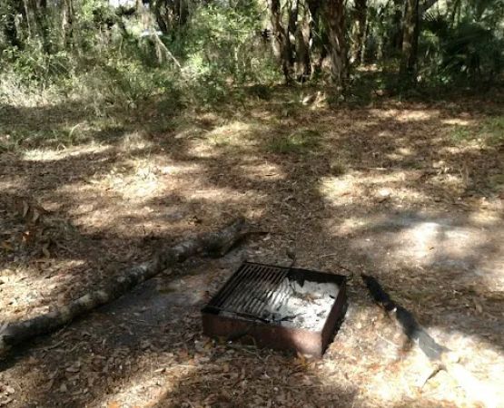 Oak Grove Primitive Campsites