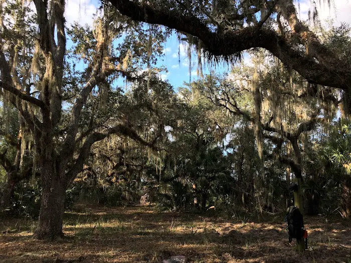 Oak Grove Primitive Campsites 5