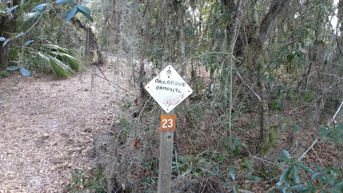 Oak Grove Primitive Campsites 3