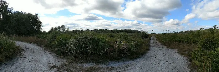 Oak Grove Primitive Campsites 6