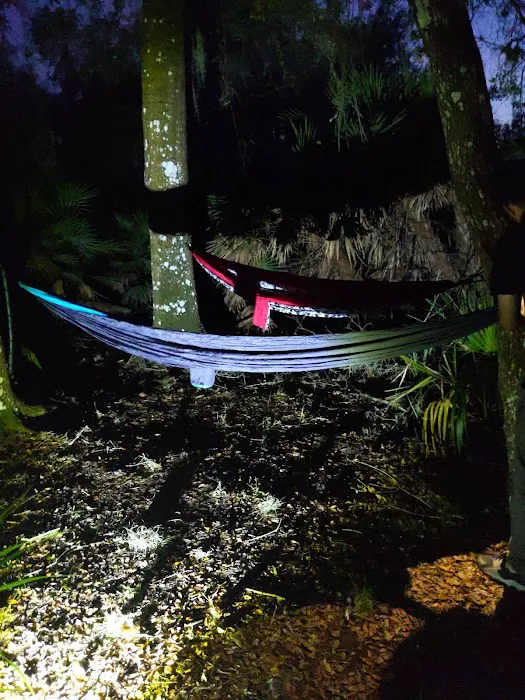 Oak Grove Primitive Campsites 7