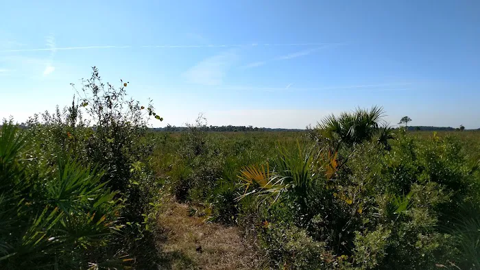 Prairie Primitive Campsite 3