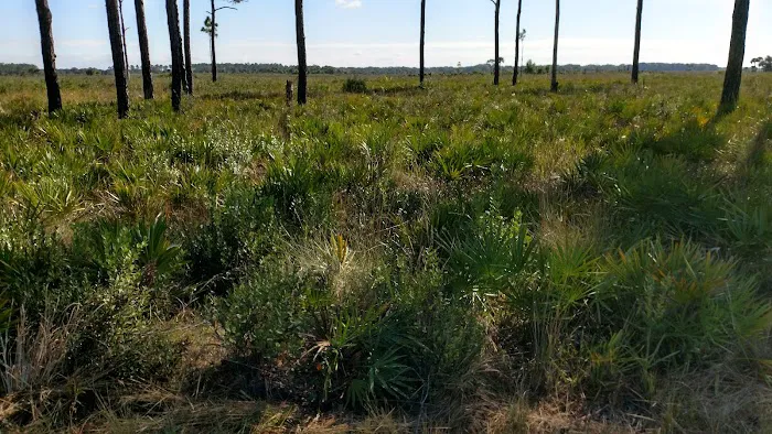 Prairie Primitive Campsite 4