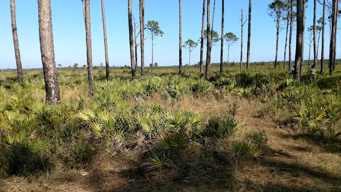 Prairie Primitive Campsite 5