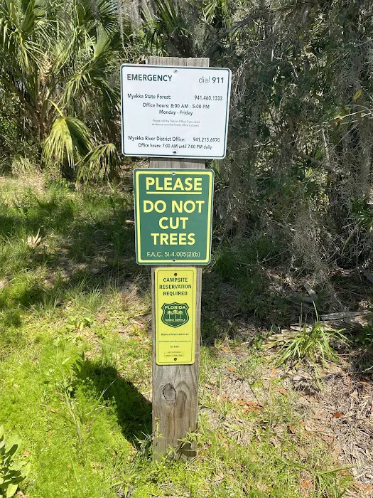 Myakka State Forest - Mangrove Campsite 1