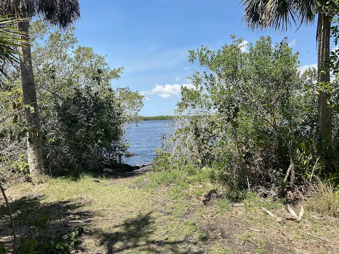 Myakka State Forest - Mangrove Campsite 2