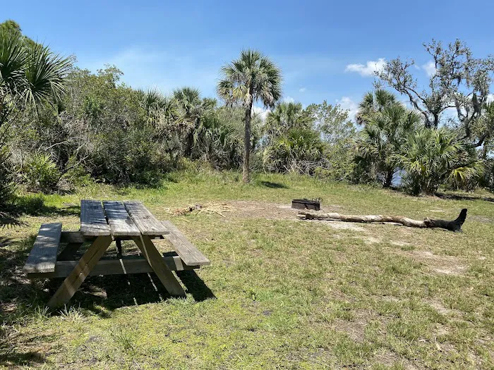 Myakka State Forest - Mangrove Campsite 0