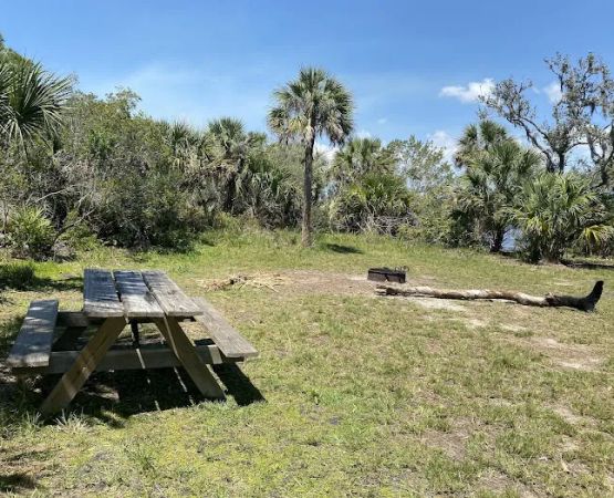 Myakka State Forest - Mangrove Campsite