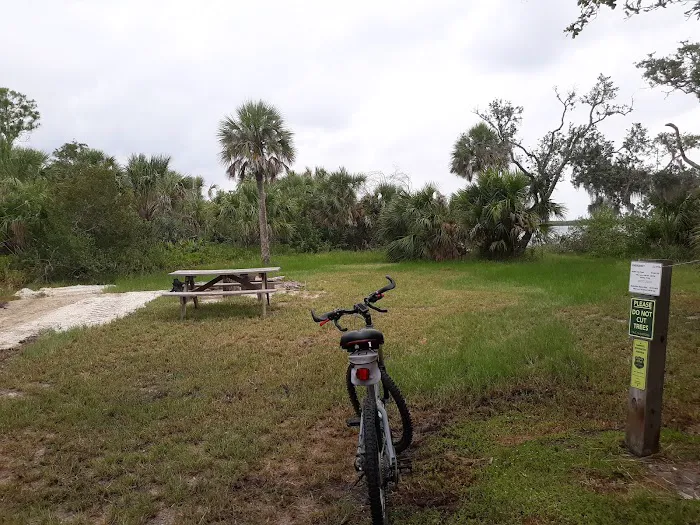 Myakka State Forest - Mangrove Campsite 5