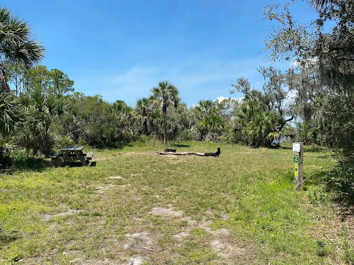 Myakka State Forest - Mangrove Campsite 3