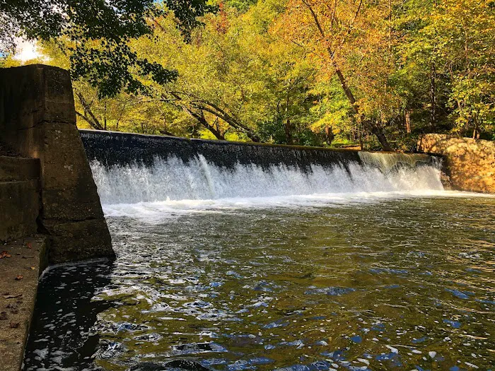 Jessup Mill 7