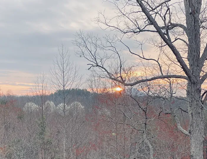 Carls Campsites 3