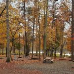 Lake Reidsville Park