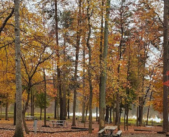 Lake Reidsville Park