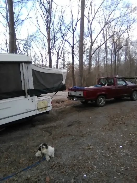 Pop & Moms Campground 1