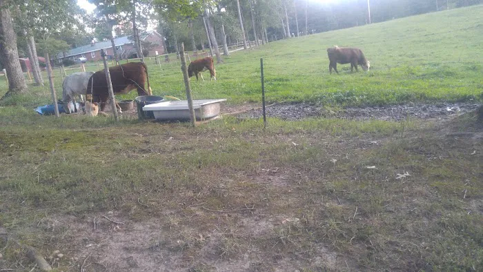 Pop & Moms Campground 3