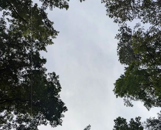 Apache