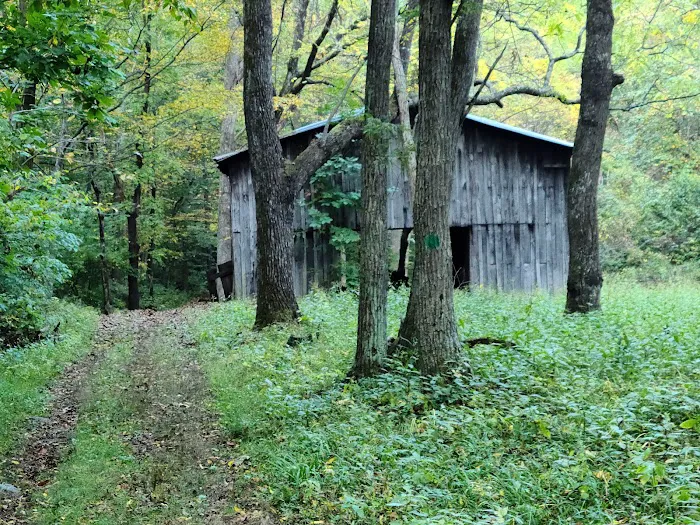 Rocky Knob Recreation Area 5