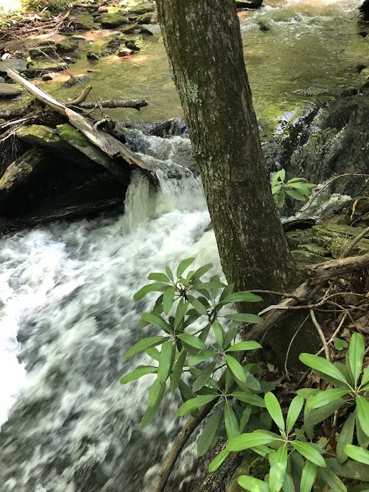 Rocky Knob Recreation Area 6
