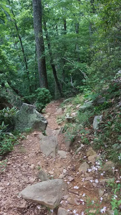 Blue Ridge Parkway Rocky Knob Information Center 7