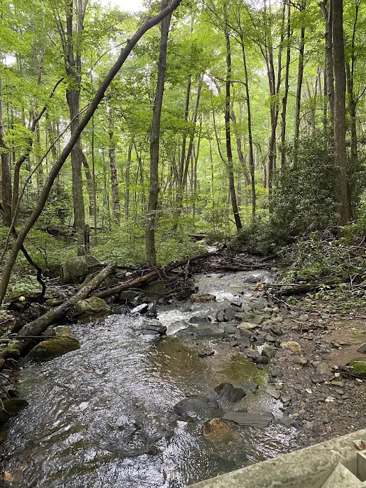 Rocky Knob Campground 7