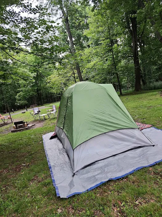 Rocky Knob Campground 8