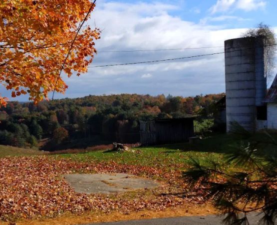 Cliffview Campground