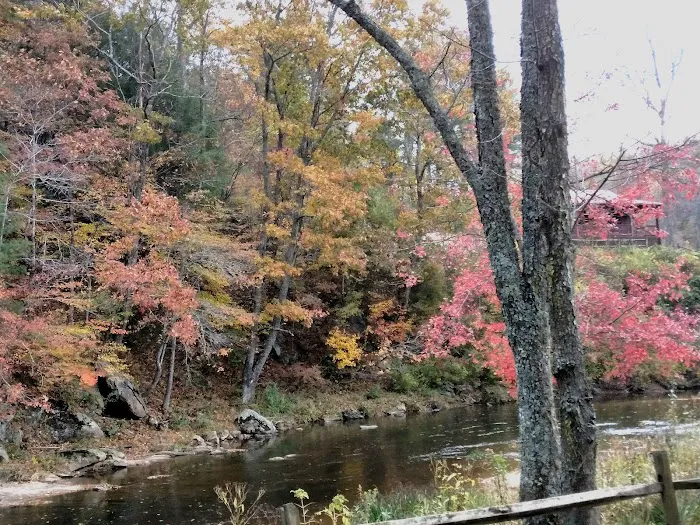 Cliffview Campground 4