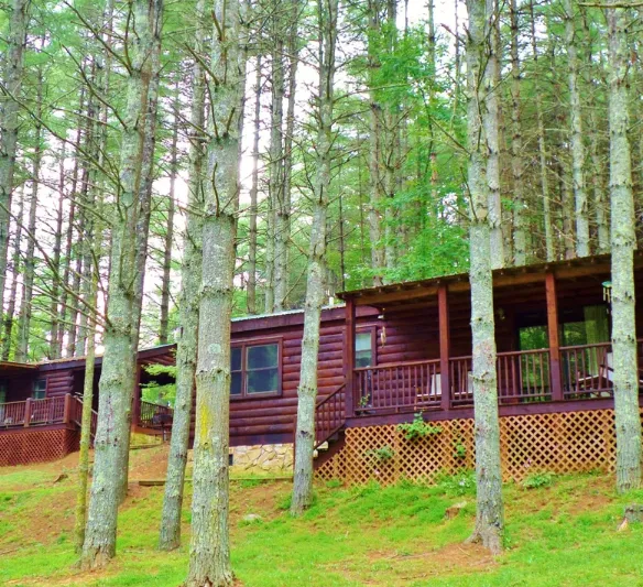 Chestnut Creek Cabins 1