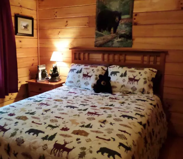 Chestnut Creek Cabins 5