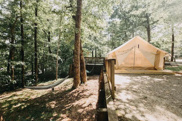 Timberline Glamping at Amicalola Falls 8