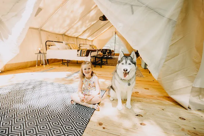 Timberline Glamping at Amicalola Falls 5