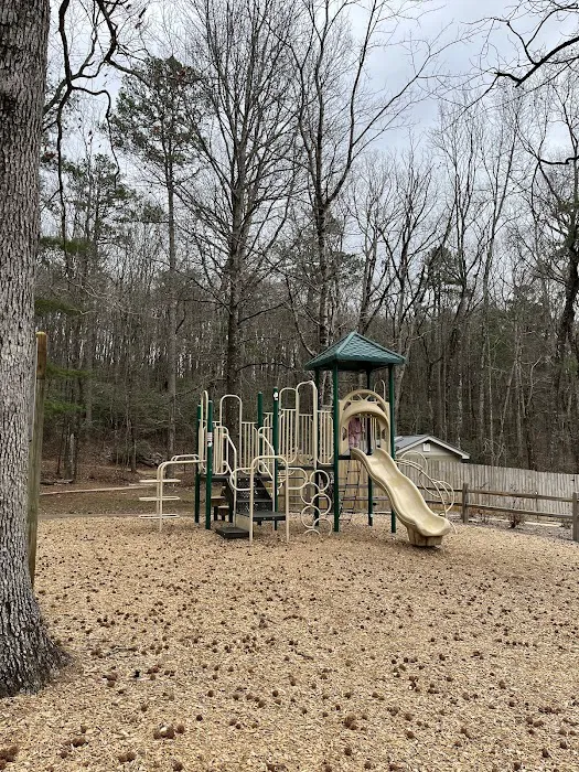 Amicalola Falls Campground 0