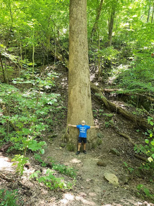 Amicalola Falls Campground 7